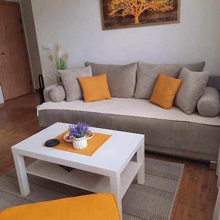 Bankovic Apartman Vrnjačka Banja 외부 사진