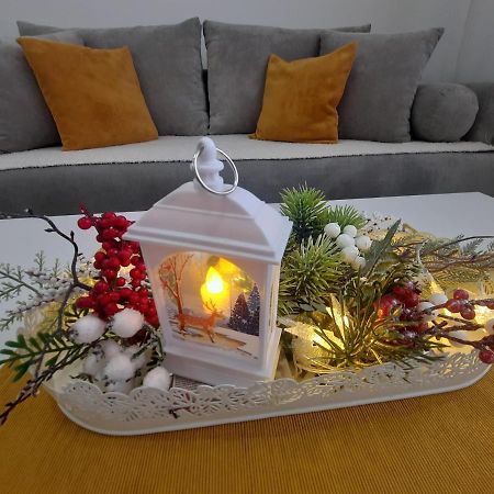 Bankovic Apartman Vrnjačka Banja 외부 사진