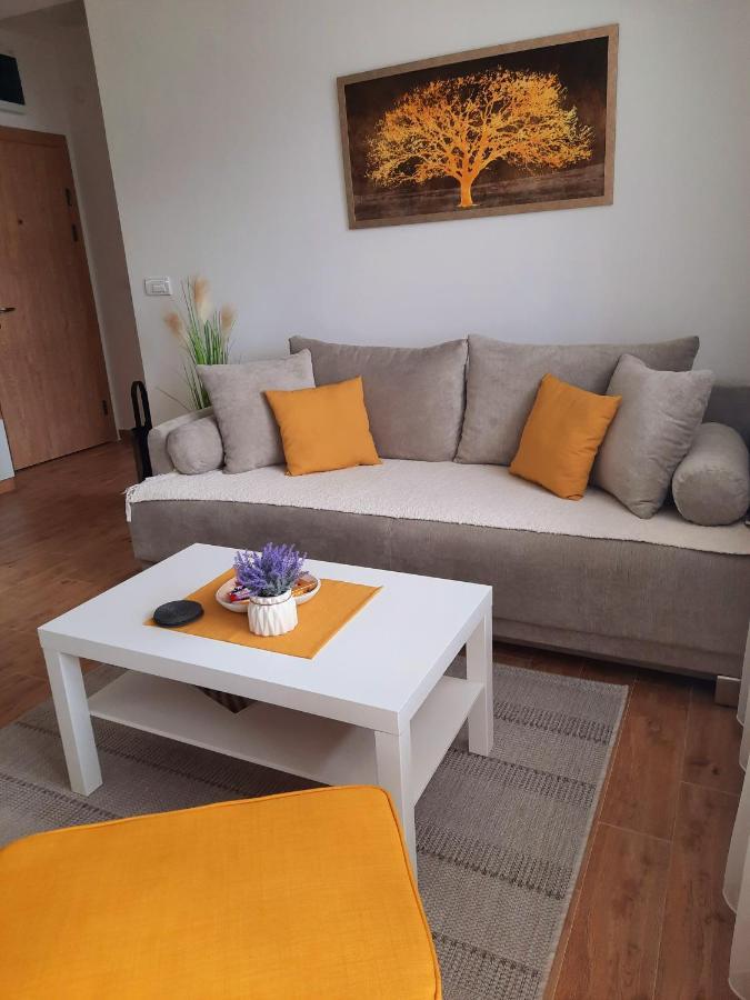 Bankovic Apartman Vrnjačka Banja 외부 사진