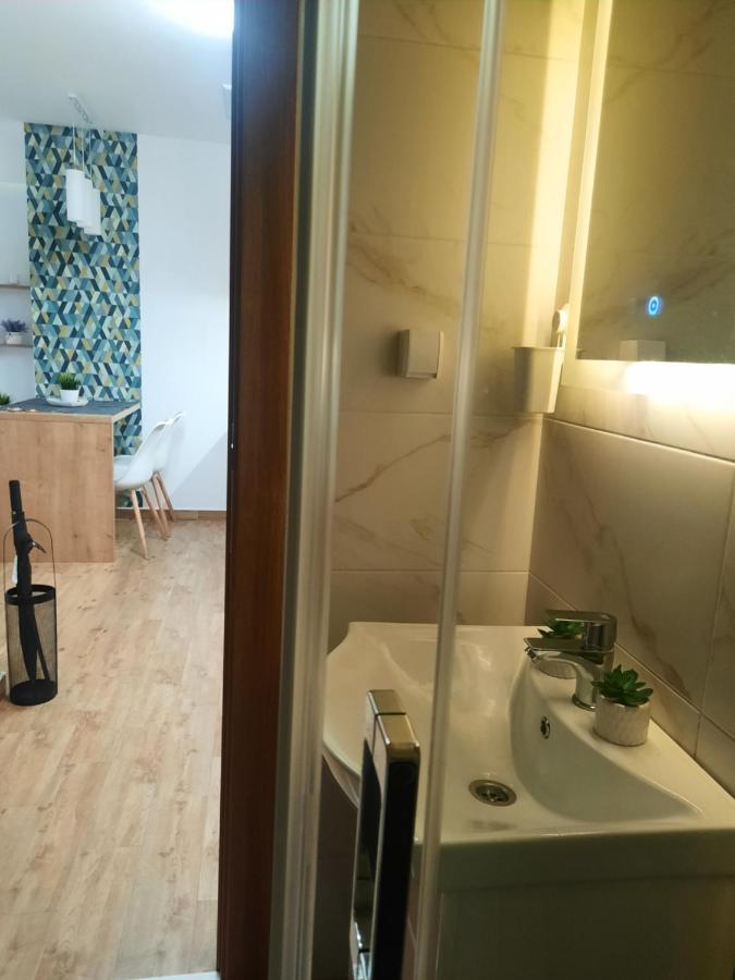 Bankovic Apartman Vrnjačka Banja 외부 사진