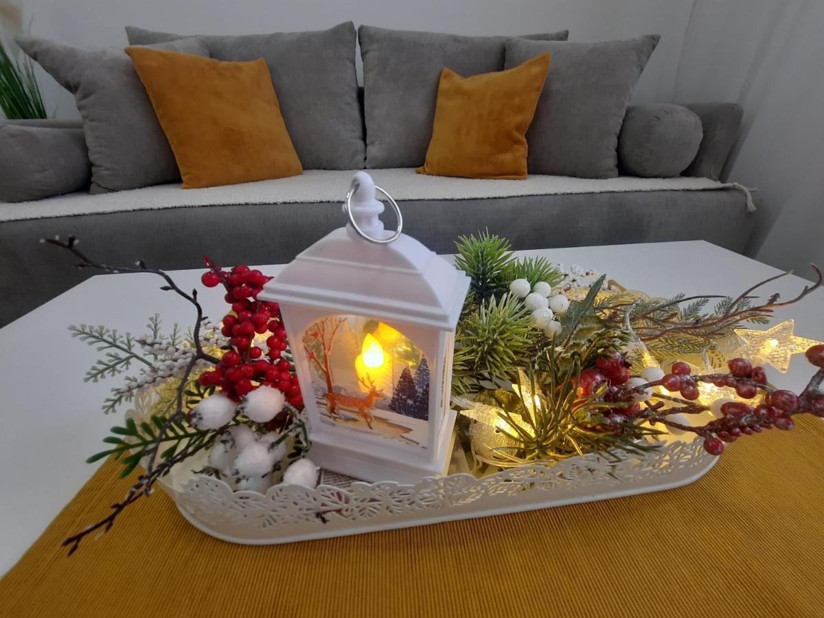 Bankovic Apartman Vrnjačka Banja 외부 사진